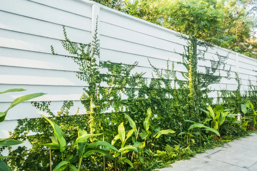 white pvc fence